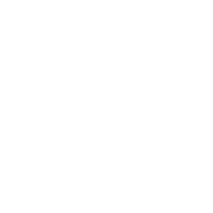 databricks databricks